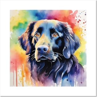 Flat Coated Retriever Posters and Art